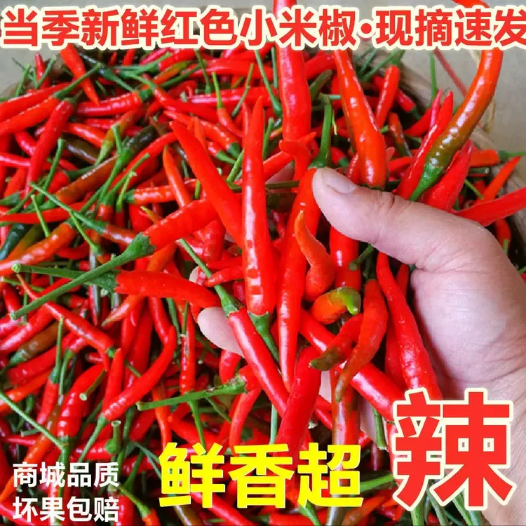 云南新鲜小米辣椒现摘特辣朝天椒辣椒炒菜尖椒批发薄皮特辣250g起
