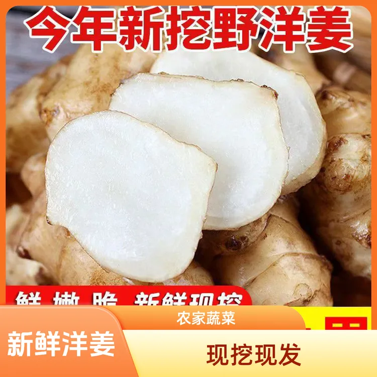 洋姜新鲜野生洋姜鬼子姜现挖种子菊芋头地不辣农家蔬菜咸菜1-5斤