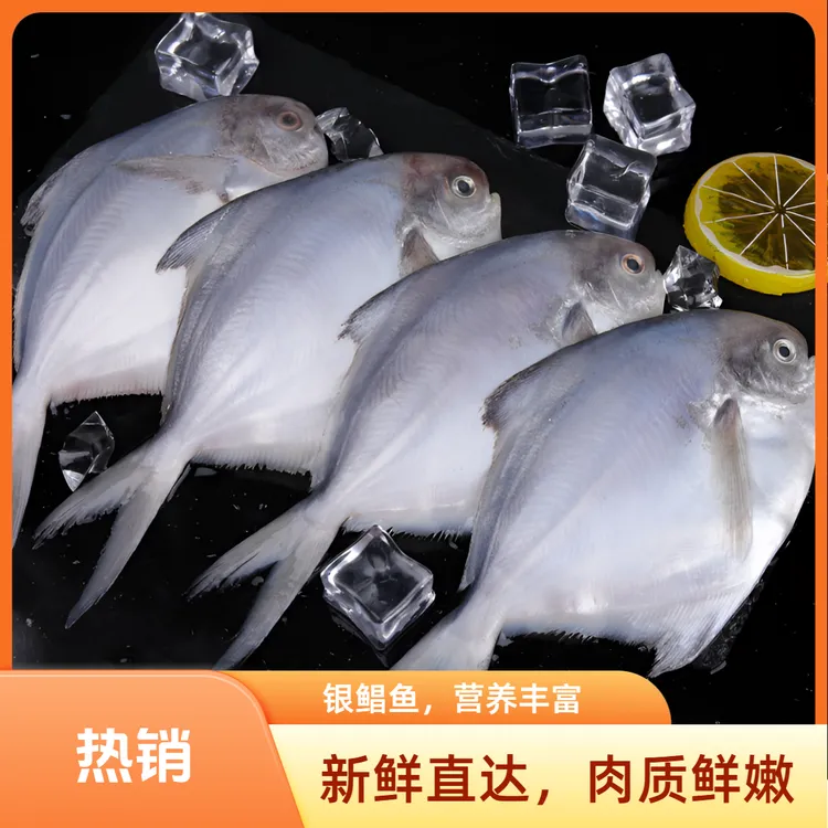 【到手5斤】深海海捕新鲜速冻银鲳鱼顺丰京东冷链包邮