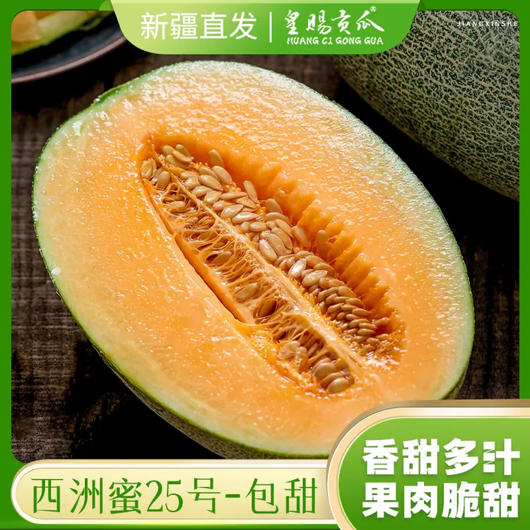 皇赐贡瓜新疆正宗新鲜水果哈密西洲蜜25号网纹不甜包赔10-12斤