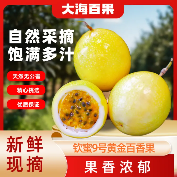 *1广西原产地直发钦蜜9号百香果新鲜香甜多汁当季水果产地直发