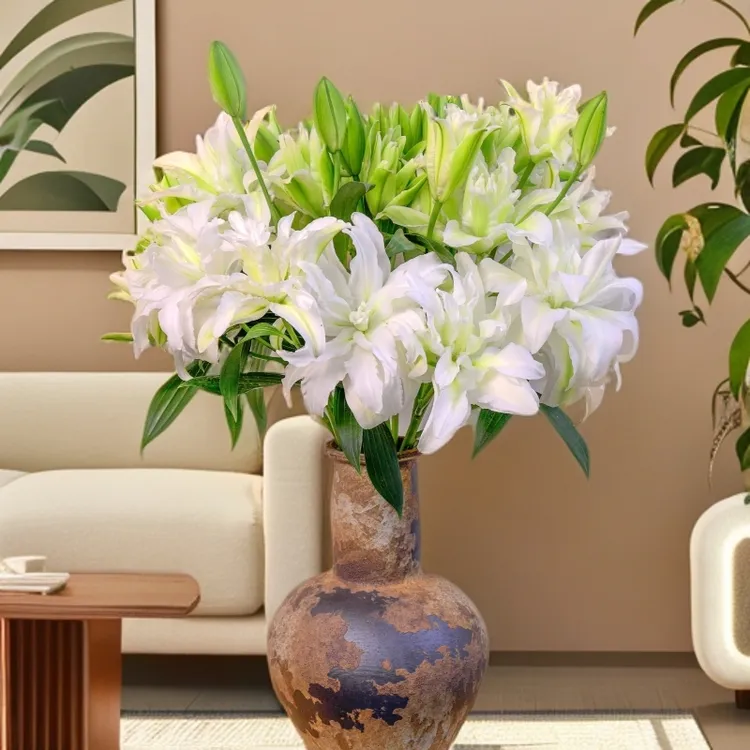 云南木木花卉艾莎清新淡雅重瓣香水百合花家居氛围感鲜花花束多头