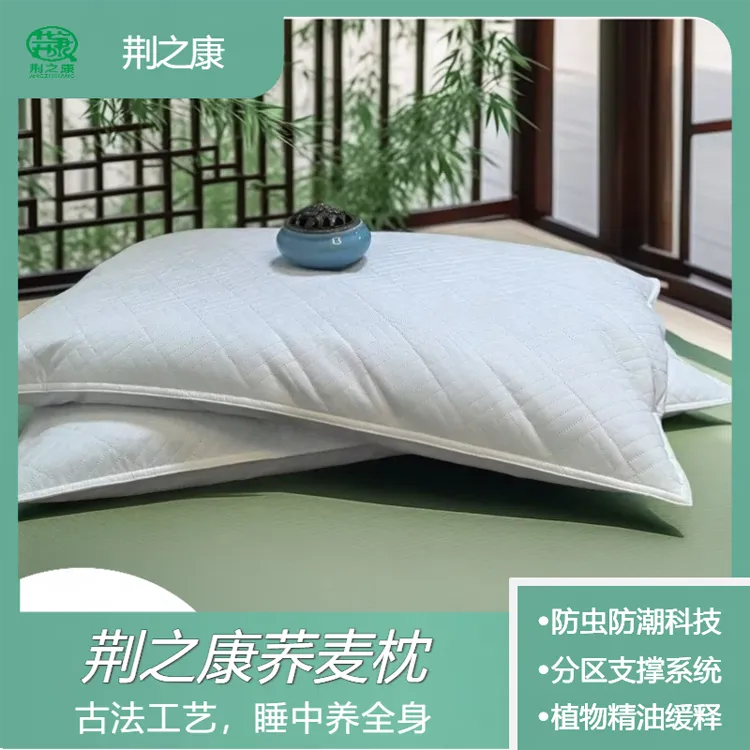 荆之康全荞麦健康枕（B款） 成人家用学生防潮防虫荞麦枕睡眠枕
