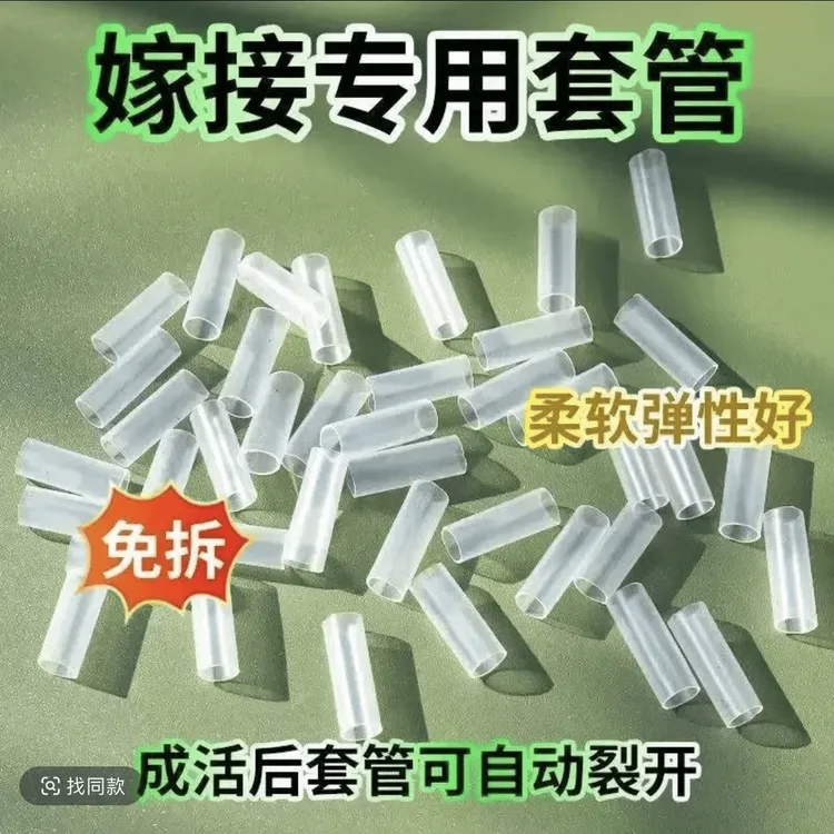 【嫁接专用套管！50个】嫁接神器果树花卉嫁接管嫁接商品图