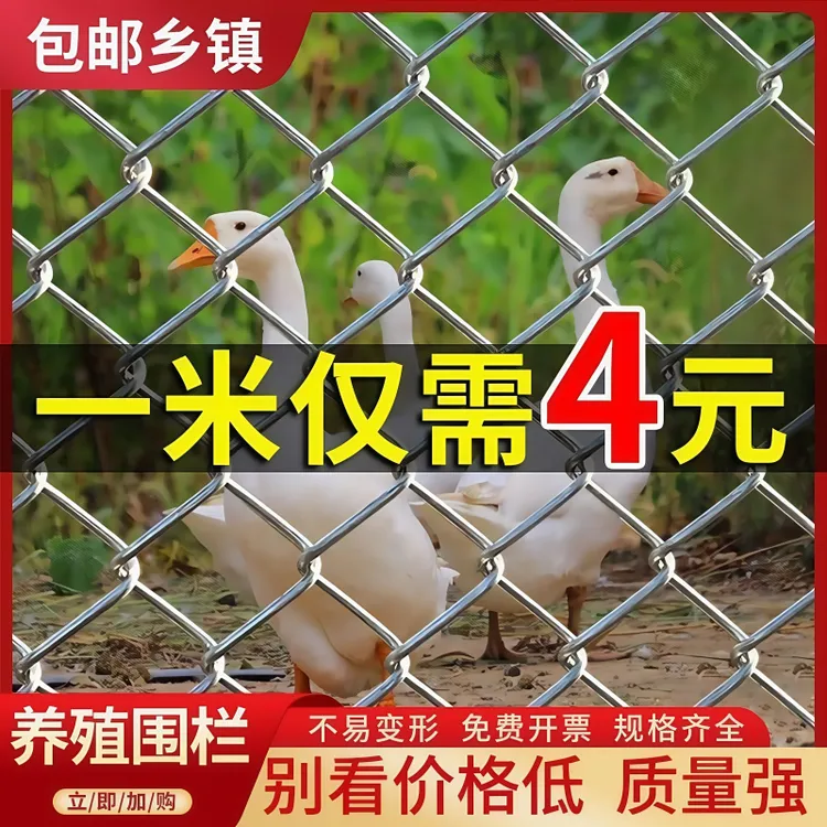 热镀锌菱形勾花网铁丝网 球场围栏防护网 户外养殖钢丝隔离护栏网