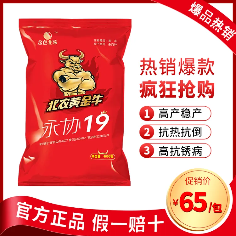 不空棵不花粒不倒伏不穗腐抗性强品质优产量高黄金牛永协19！