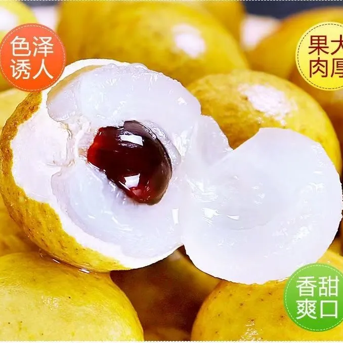 (精品好货大果)泰国金标大龙眼新鲜大龙眼带枝条5斤/3斤/1斤