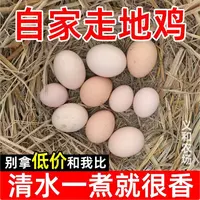 【30枚装】山林散养正宗农家土鸡蛋新鲜现捡健康美味