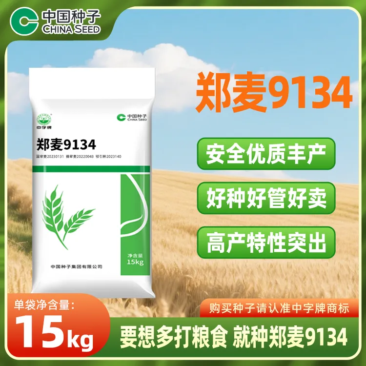 中国种子郑麦9134小麦种15kg/袋 抗病抗倒好熟相好中强筋