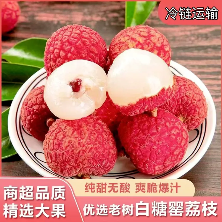 当季现摘白糖罂荔枝香甜可口 皮薄肉厚 冷链发货