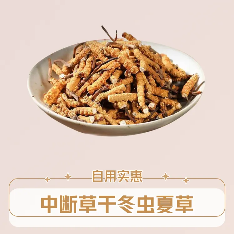 【中断草】干冬虫夏草自用实惠藏区正宗礼盒装滋补佳品泡水煮粥煲汤