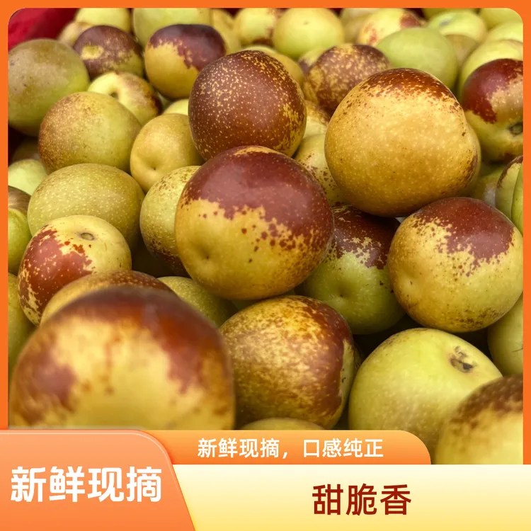 大果正宗陕西大荔冬枣A级精品大果现摘现发新鲜脆甜应季水果顺丰