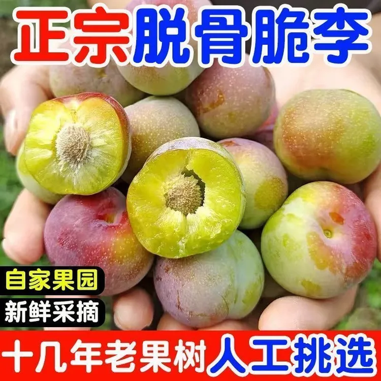 四川半边红脱骨李茵红李脆甜多汁新鲜当季水果