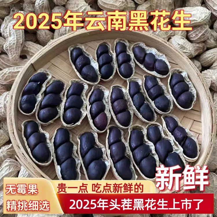 云南带壳老品种黑花生生花生新鲜当季新货生吃甘甜滋补