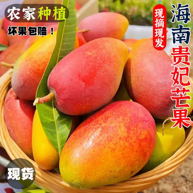 【海南贵妃芒果】果园新鲜现摘贵妃芒果皮薄肉厚香甜软糯催熟变软吃商品图