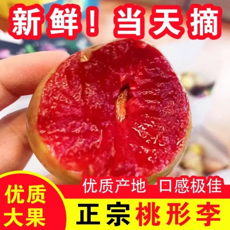 嵊州桃形李新鲜现摘脆甜可口核心产区水果顺丰冷链包邮
