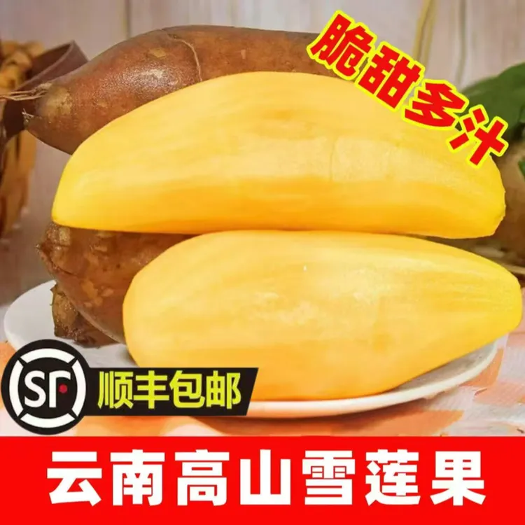 【顺丰包邮】云南天山雪莲果低糖清甜多汁脆爽黄心新鲜应季产地直发
