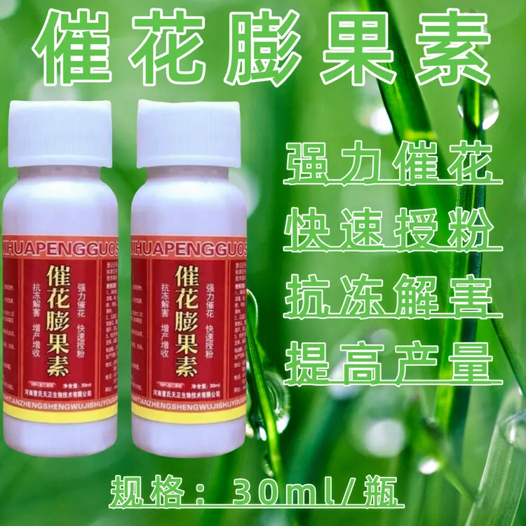 甜瓜辣椒豆角免对花套餐强力催花快速授粉提高座果省时省力