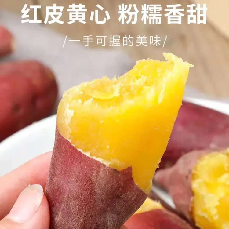 【小不溜】 临安天目山小香薯5斤装粉糯香甜板栗红薯新鲜小红薯地瓜