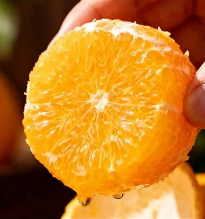 【宠粉专属】寻乌县吉潭镇稀土田赣南脐橙香浓郁果肉脆嫩更甜橘柑橙