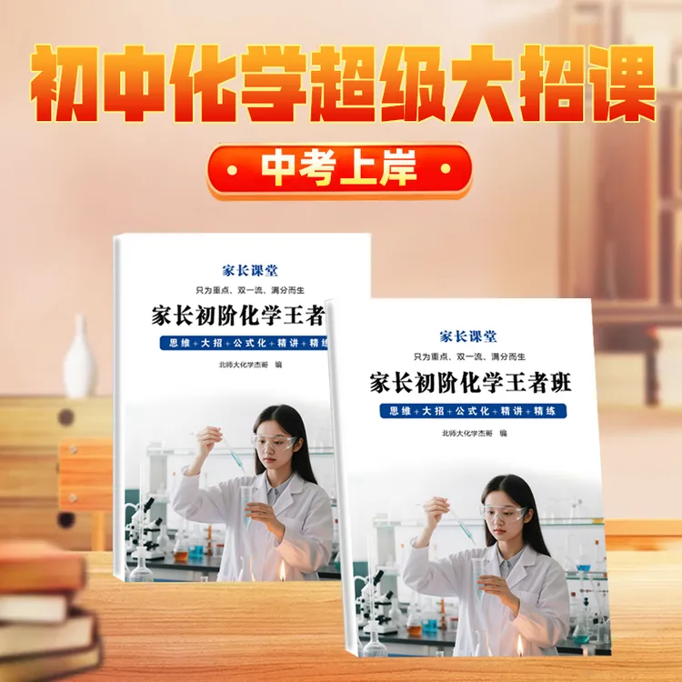 化学一对一10天中考冲刺大招课(私人订制+纸质书+视频+练习+答疑)