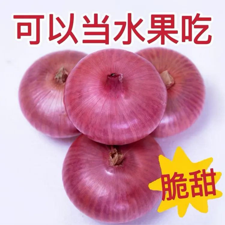 山东新鲜扁平二红水果洋葱可生吃微甜微辣5斤时令蔬菜
