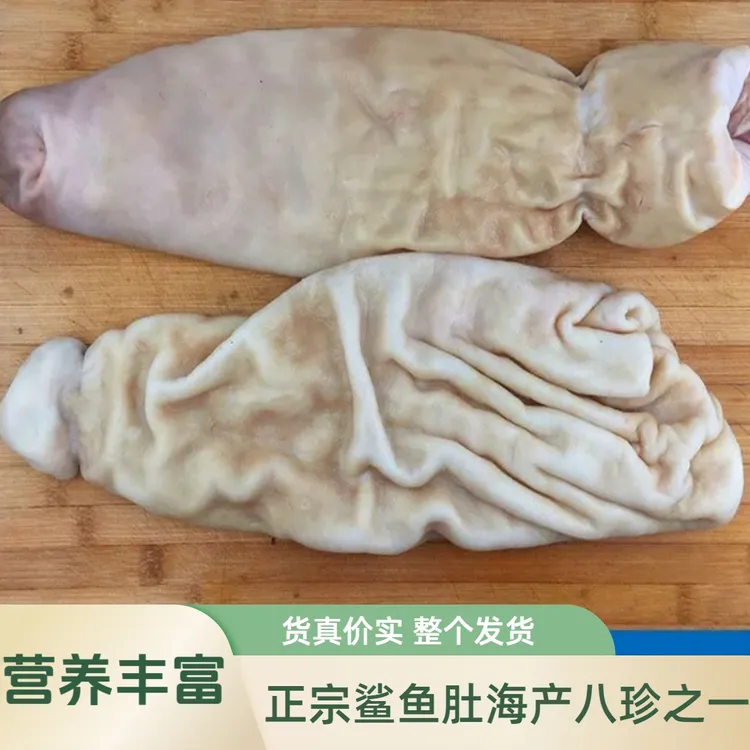 正宗鲨鱼肚3斤深海食材整个发货沙鱼肚新鲜海鱼胃鱼胶海八珍顺丰