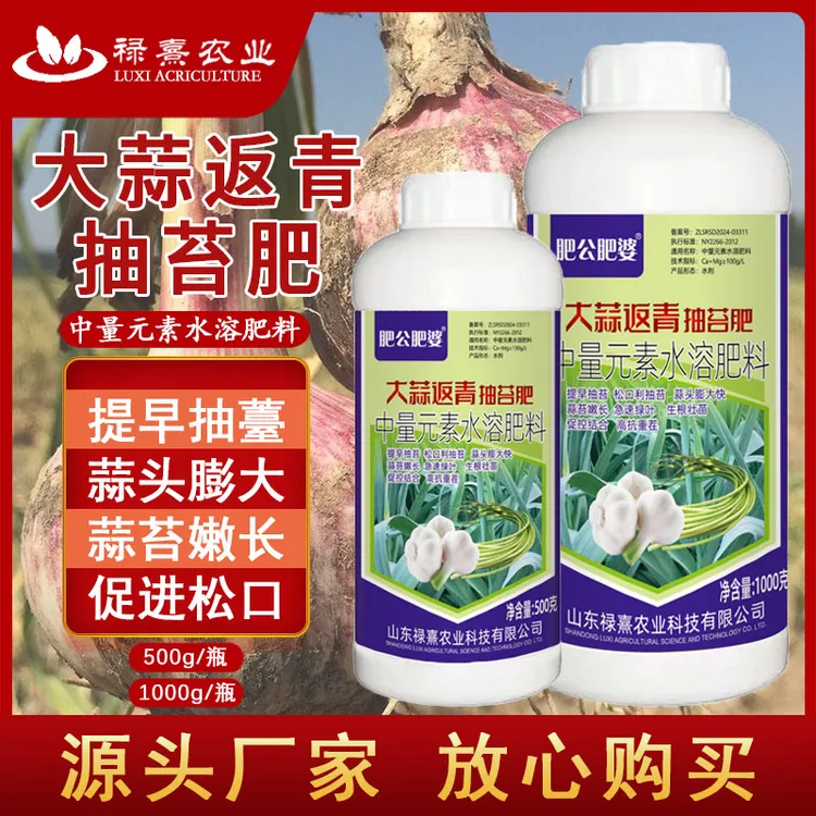 大蒜返青抽苔肥容易抽苔氨基酸家用种植产品农业生长大蒜叶面肥
