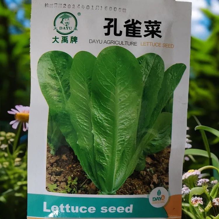 孔雀菜种子6000粒左右