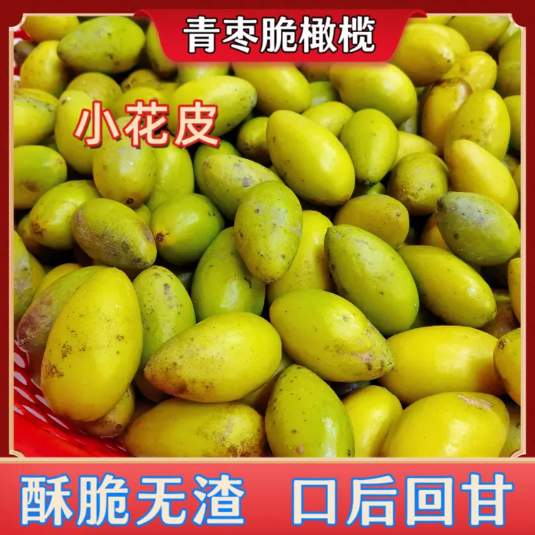 青枣脆橄榄小花皮2号橄榄酥脆无渣生吃推荐煲汤泡酒回甘