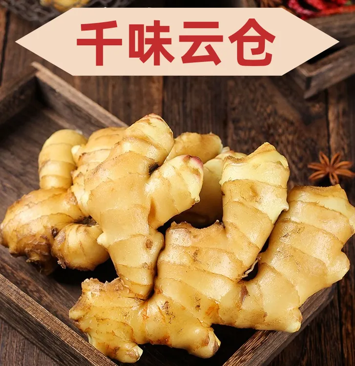 《千味云仓20号库》山东产地鲜姜嫩姜可泡糖醋姜炒菜用腌制泡菜