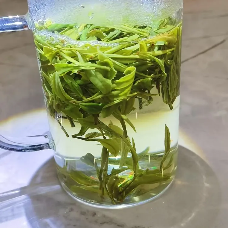 2025六安霍山白马尖老品种黄芽，高海拔手工炭火炒制兰花浓香