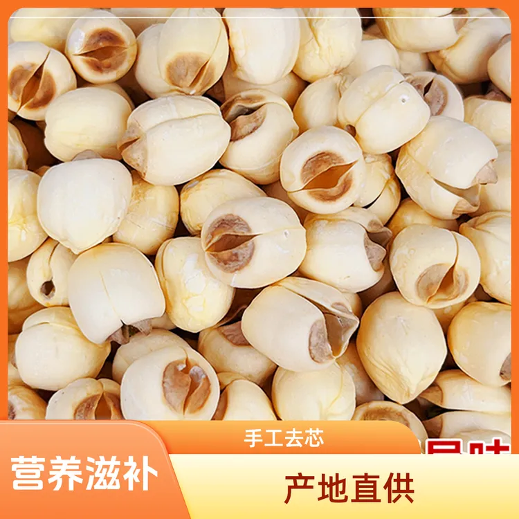 福建建宁莲子福建优质建宁莲子正宗去芯家里饱满特大大颗粒干货正宗莲子新干货