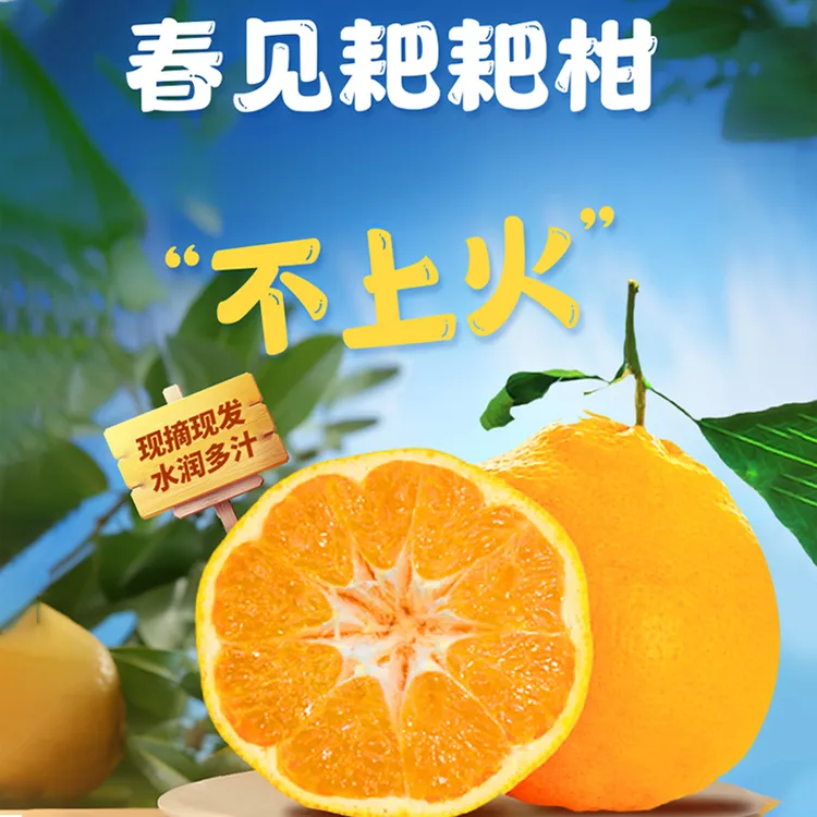 春见耙耙柑橘子柑橘皮薄多汁清甜可口整箱九斤东三省专链