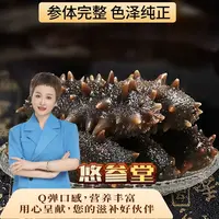 【霞姐专属】福建霞浦海参 7-9头海参冷冻水产肉质鲜美