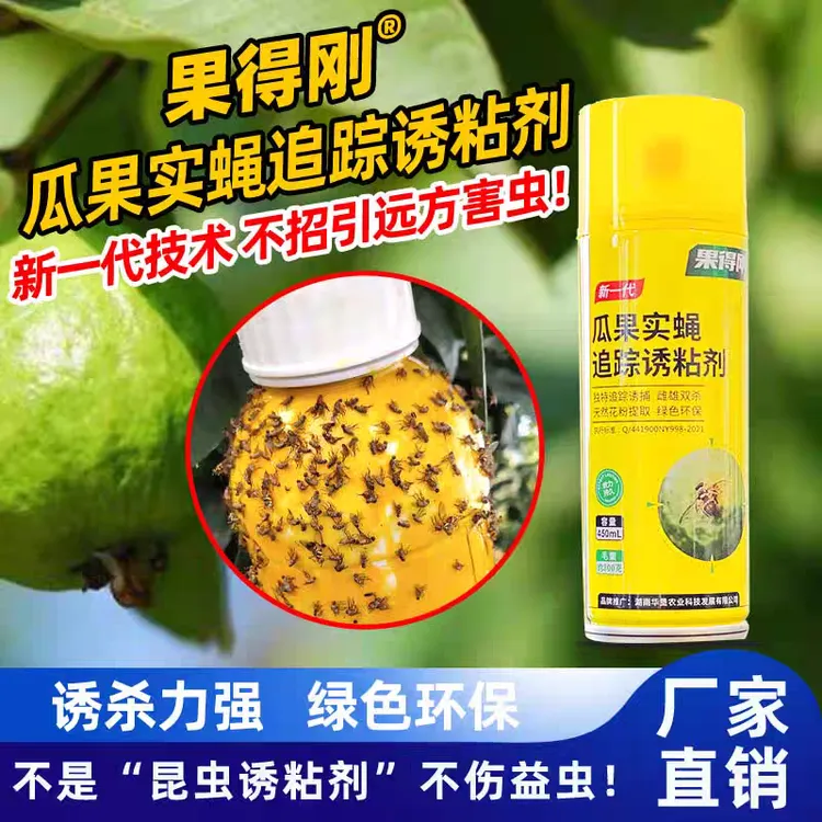 果得刚诱粘剂板瓜果实蝇针蜂诱粘剂诱捕追踪剂专业针对果实蝇