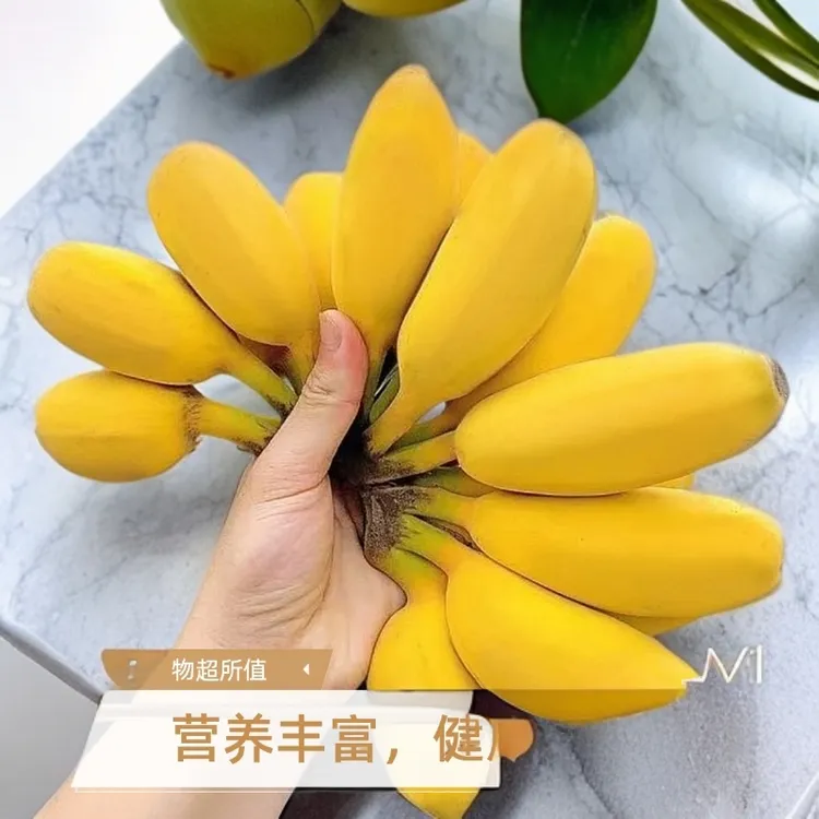 现采广东正宗青皮苹果蕉当季新鲜皮薄软糯香甜适合孕妇整箱装水果