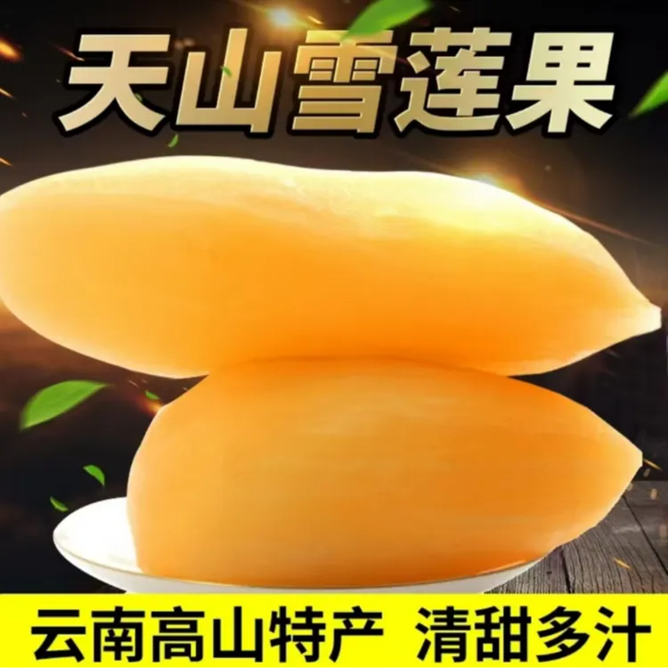 【爱心助农】云南天山雪莲果新鲜应季现挖黄心清甜脆爽多汁坏果包赔