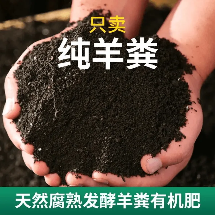 汀花院内蒙古纯羊粪发酵有机肥粉末10斤 全国发货