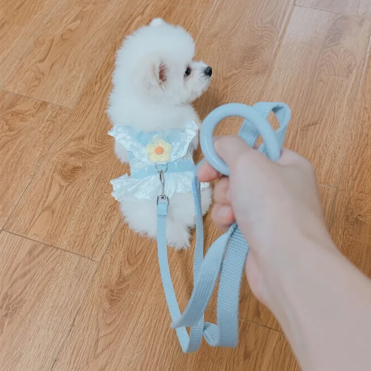 狗绳子背带式小狗狗秋季衣服牵引绳幼犬专用约克夏出行遛狗安全绳