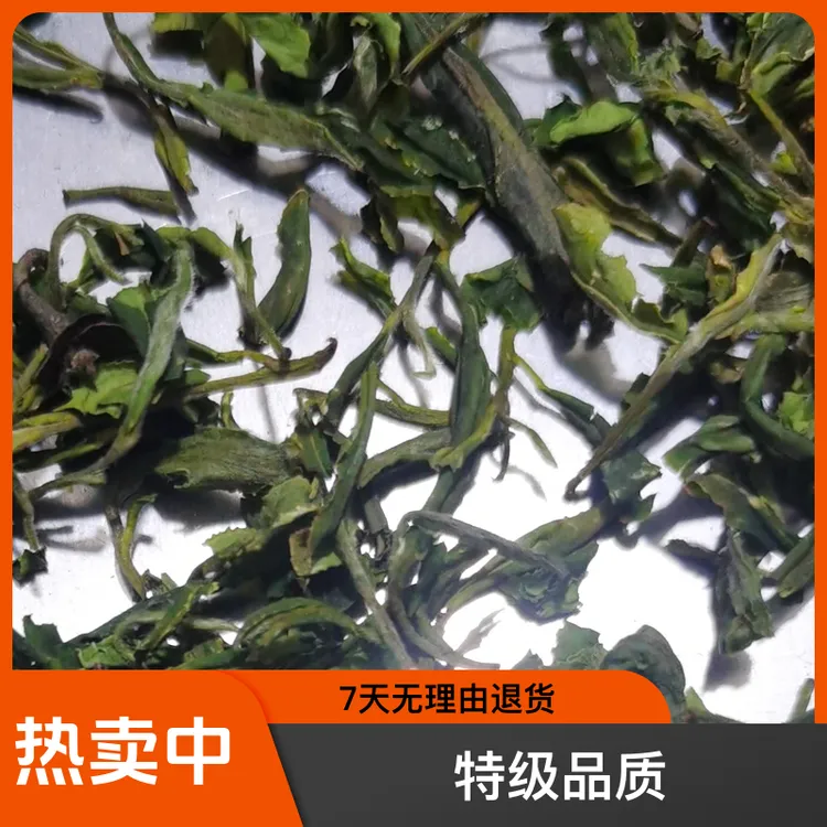 安徽绿茶春茶头茬料子，老树特香鲜嫩口感鲜爽回甘