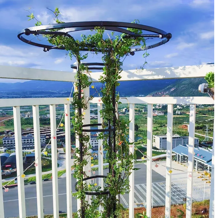 伞形花架月季爬藤架园艺支架阳台庭院户外玫瑰攀爬支撑花架支撑杆商品图