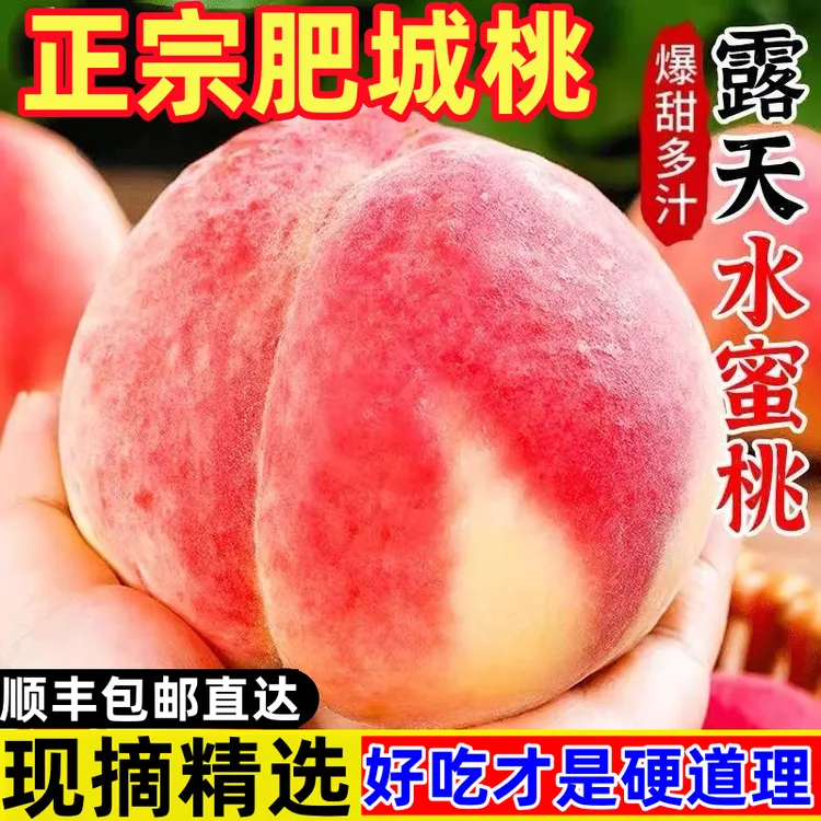 【送礼精选】山东肥城桃特大桃新鲜现摘应季水果顺丰礼盒装