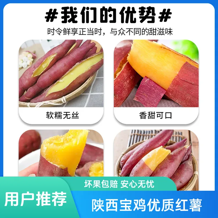【五斤中大果】正宗陕西宝鸡天王板栗红薯沙地新鲜严选香甜细腻