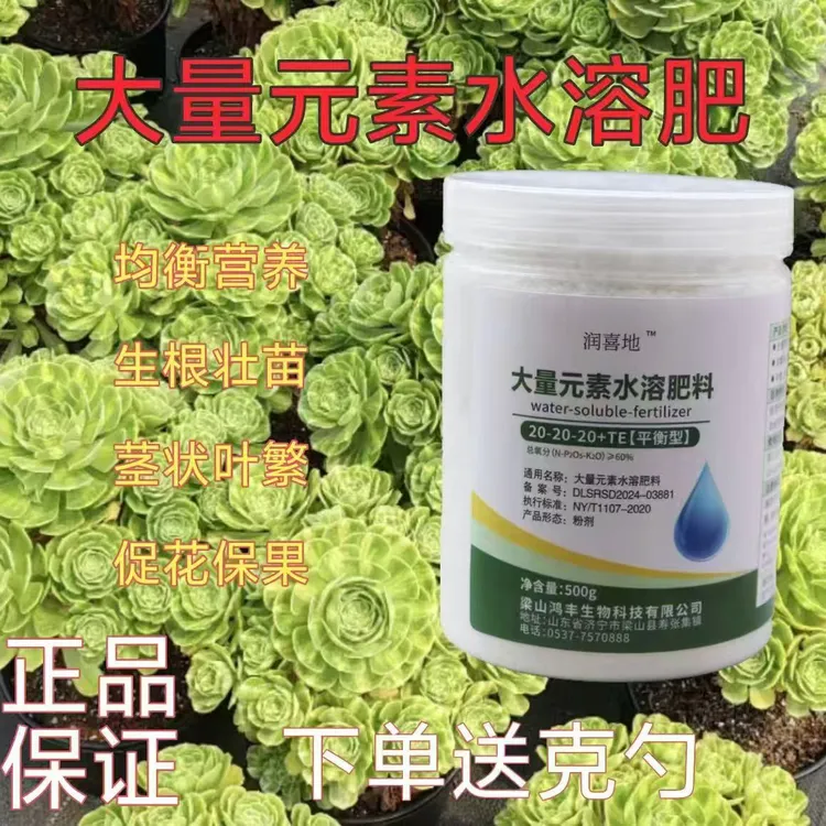 绿植多肉花卉通用花肥料均衡营养大量元素水溶肥产品速溶养根促花
