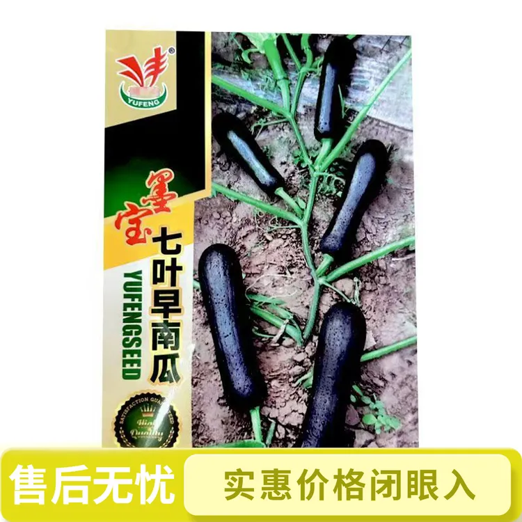 墨宝七叶早南瓜种子无蔓花皮嫩瓜汇蔬花皮嫩南瓜吊瓜蔬菜籽