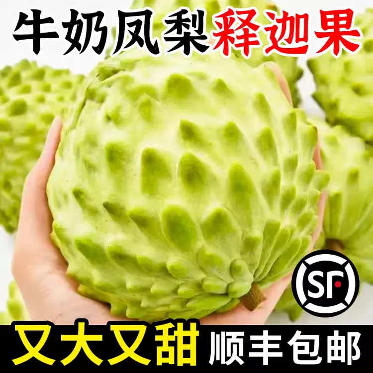 【头茬鲜果】新鲜现摘凤梨释迦果牛奶释迦新鲜番荔枝冰激凌般口水果