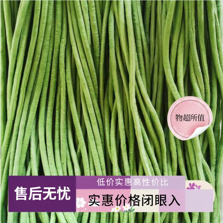 现摘新鲜长豇豆农家本地应季时令蔬菜脆嫩易熟