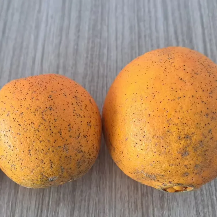 【赣州发货】花皮果适合榨汁果卡拉卡拉红橙（不保个头不保花皮）