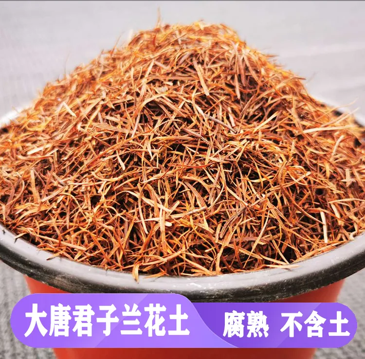 纯松针 干的最新落叶松  